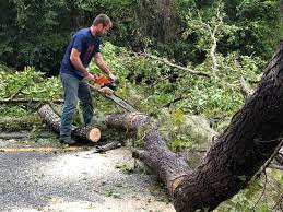 Best Utility Line Clearance  in Hidden Valley Lake, CA